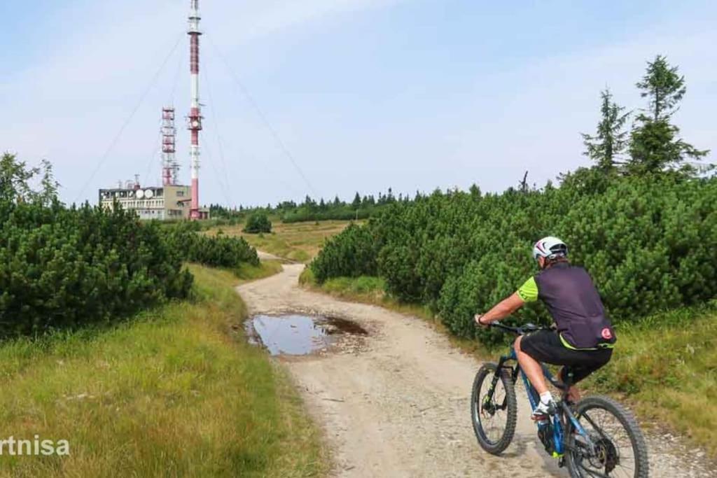 Willa Domcek Pod Orechom Blatnica Zewnętrze zdjęcie